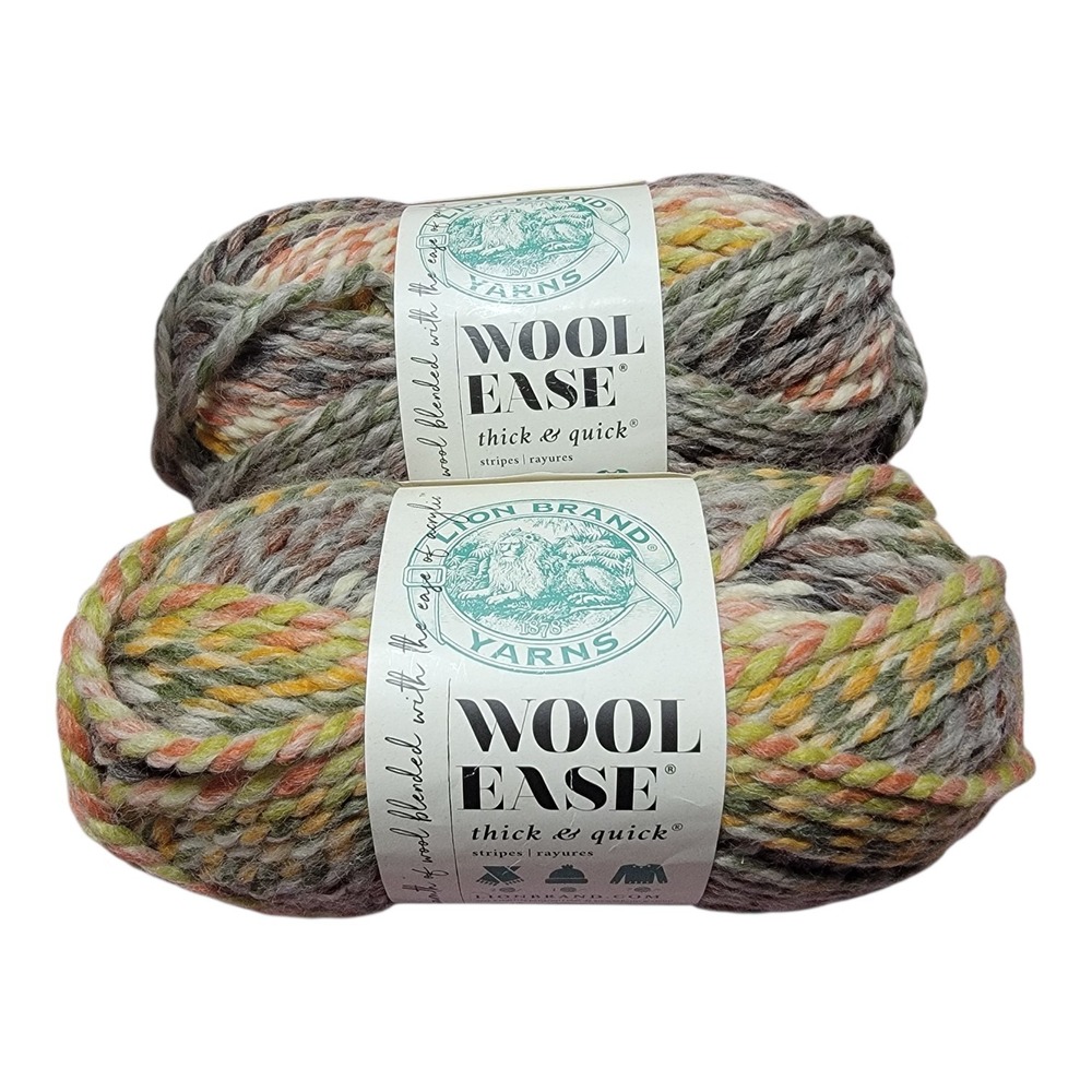 Lion Brand Wool-Ease Thick & Quick Stripes Coney Island Yarn 2 Skeins 5oz 87yd